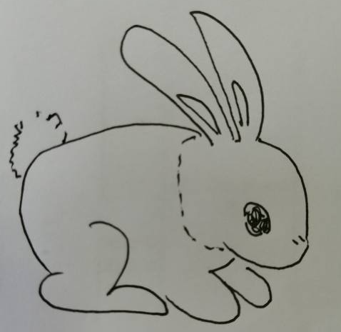 兔子怎么画？轻轻松松学会兔子的画法，还不快来学