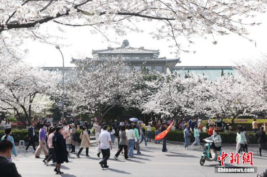 武汉大学对社会公众开放赏樱首日 樱花树下人潮涌